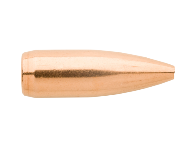 Sierra MatchKing 22Cal, 100