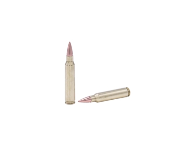 Fort Scott 5.56 NATO SCS TUI - Ammo, 5.56x45mm NATO, 20 Count