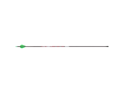 Victory VAP Sport Arrows, 6